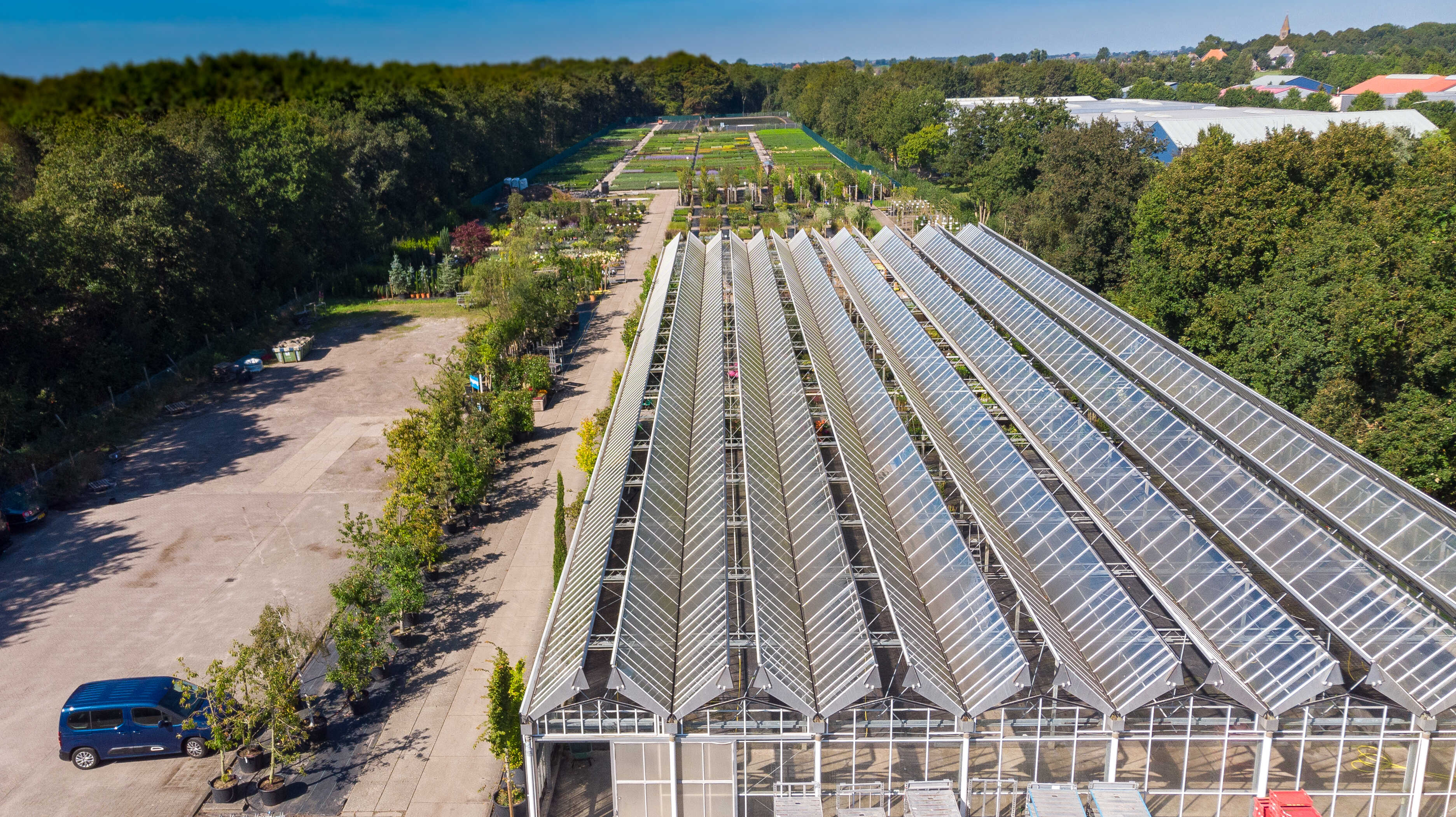 Borderpakketten | plantencentrum | plantlijsten | verkoop bomen en tuinplanten | grassen en heesters | Wommels